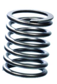 Head Valve Spring (OE)